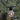 Cadena de luces Markslöjd LINK Party A60 L 10m