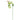 Estaca de tierra solar LED Näve (rana) h: 66cm