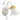 Onli Lighting Lancia 1L aplique de pared E14 Al. 23cm